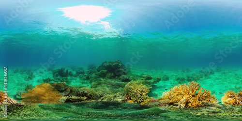 Tropical colourful underwater seas. Coral Garden with Underwater Vibrant Fish. Underwater tropical colourful soft-hard corals seascape. Philippines. 360 panorama VR © Alex Traveler