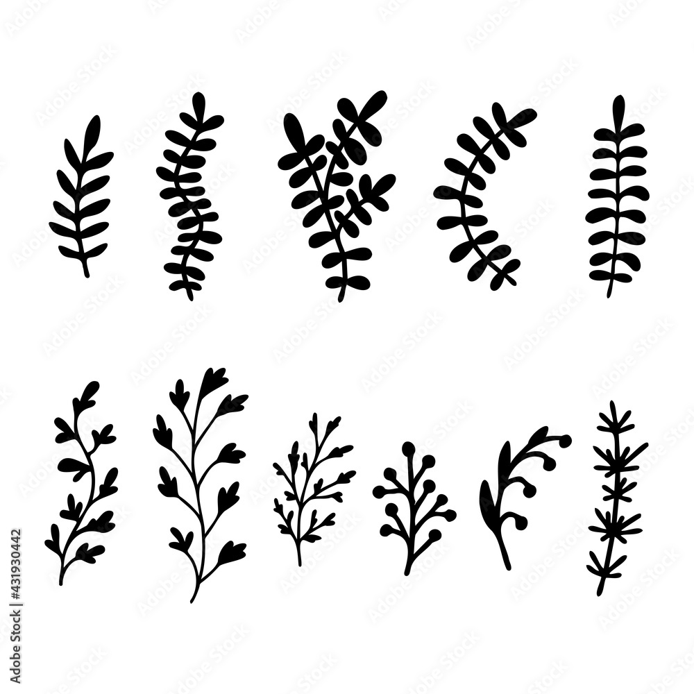 Set of hand drawn black abstract branches and leaves. Set of hand drawn black abstract branches and leaves.