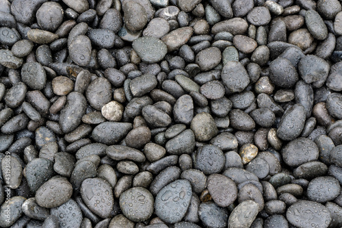 Photography Black pebbles covered with drops
