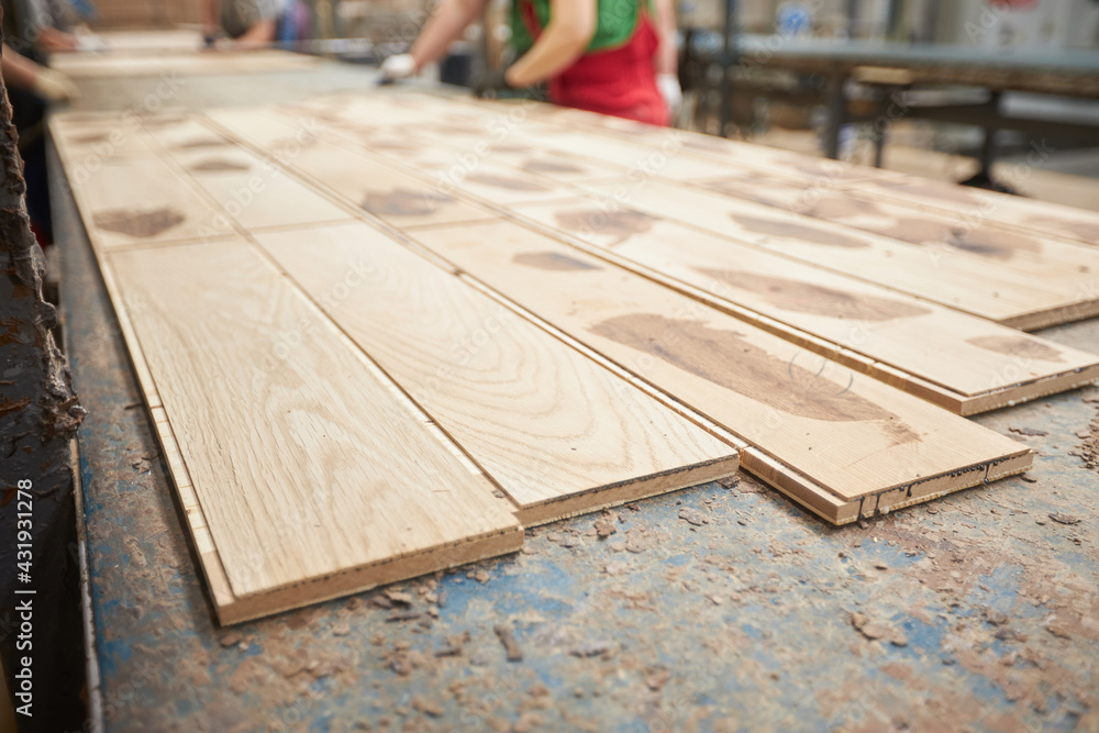 Carpentry factory. Automated equipment for laminate production. Modern robotic factory indoors. Woodworking production Carpentry factory. Automated equipment for laminate production. Modern robotic factory indoors. Woodworking production