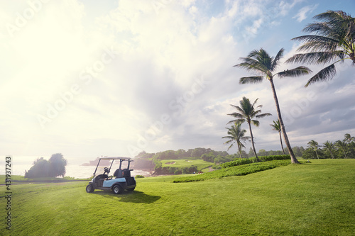 Golf place with gorgeous green and palm tree over blue sky with ocean view.