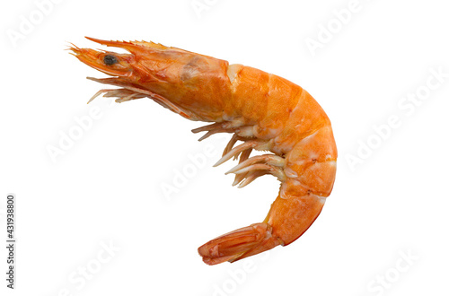 Fotografie shrimp isolated on white background ,Edible prawn