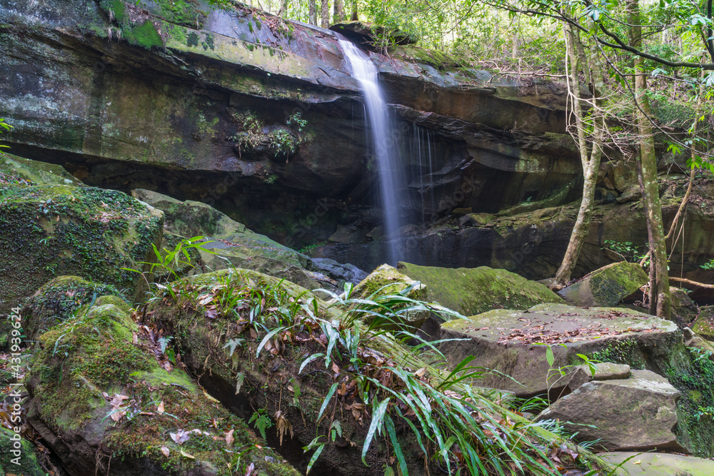Small waterfall in green forest. nature green trees in forest background Small waterfall in green forest. nature green trees in forest background