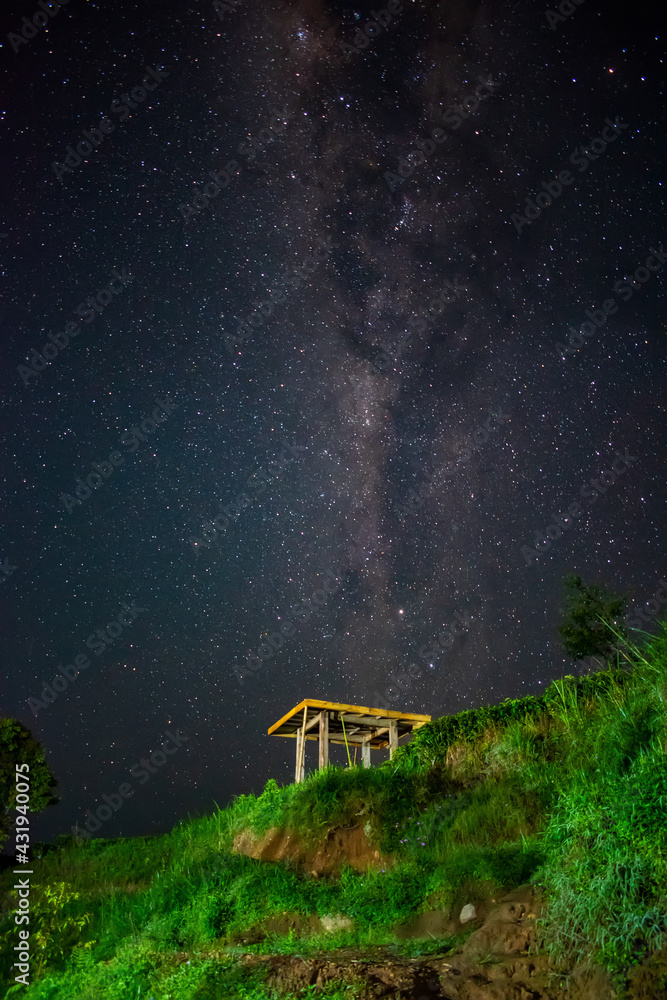bench in the night