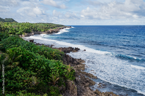 Tropical landscape. Seashore, big waves.