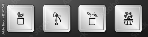 Set Cactus peyote in pot, Water spray bottle, Plant and Indoor plant ivy icon. Silver square button. Vector