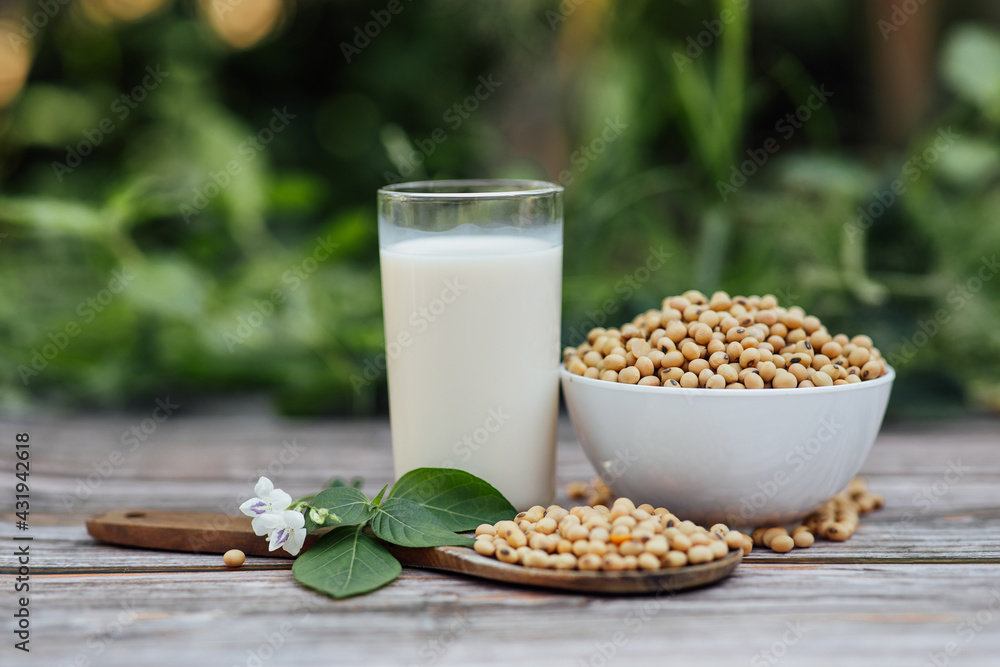 Delicious soy milk on wooden table background with Sunlight in the morning. Fresh healthy drink concept. Delicious soy milk on wooden table background with Sunlight in the morning. Fresh healthy drink concept.
