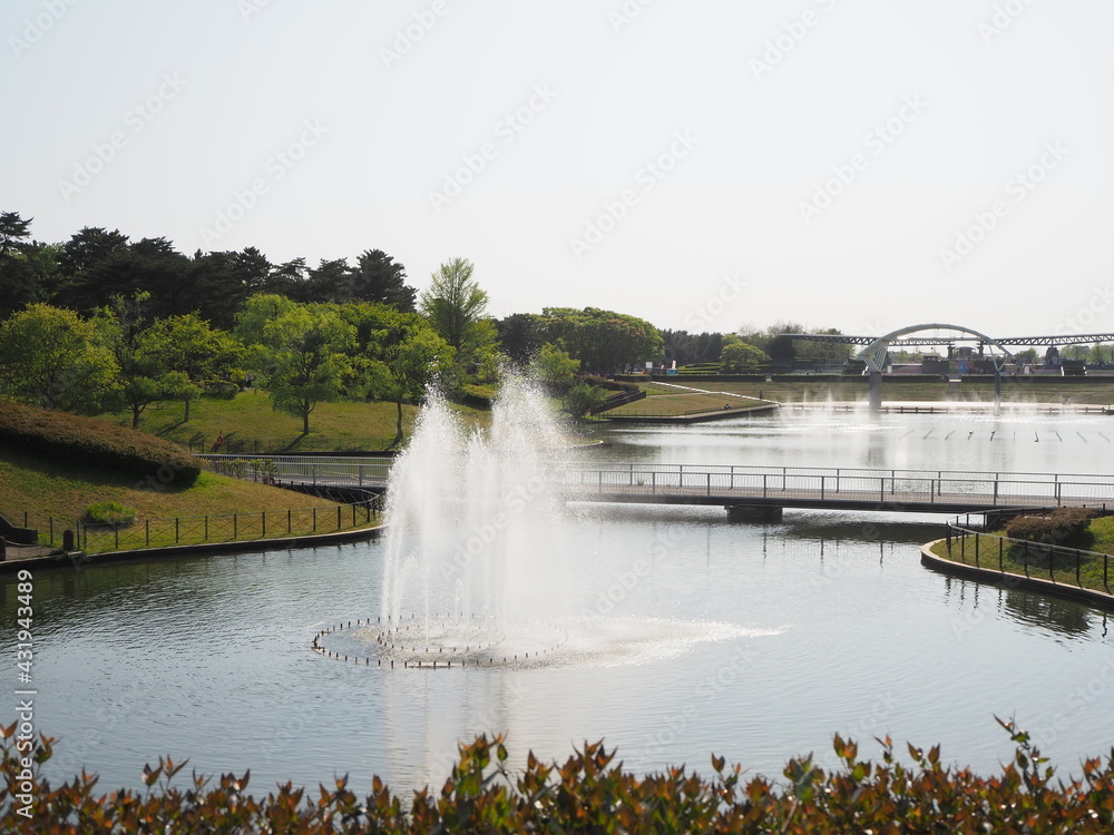 Naklejka premium 公園の池と噴水