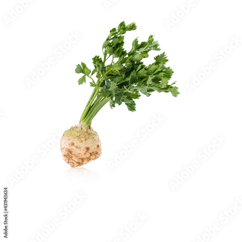 raw celery root with green leaf isolated on white background