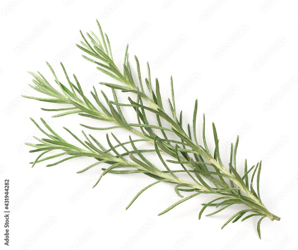 Fototapeta premium fresh curry plant leaves isolated on white background, top view