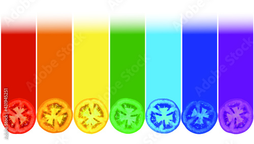 7 rainbow colors from tomato slices. The original provocative banner believe or disbelieve