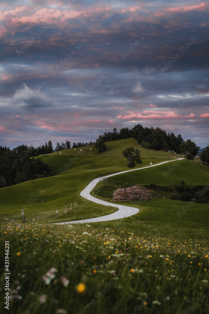 Naklejka premium Davca - Slovenia
