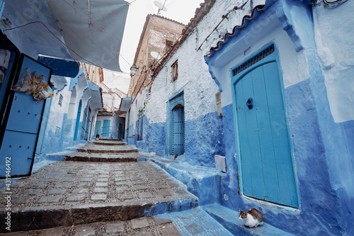 Cat in Blue City. Ancient architecture of old town Medina of Chefchaouen, Morocco. © luengo_ua