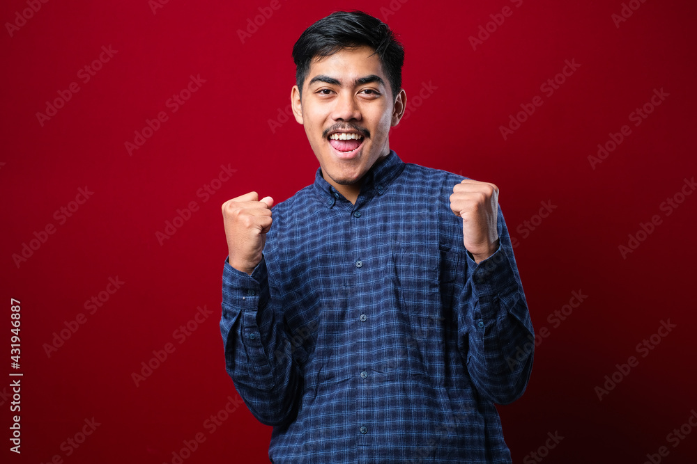 Fototapeta premium Young handsome man wearing casual sweater standing over isolated red background very happy and excited doing winner gesture with arms raised