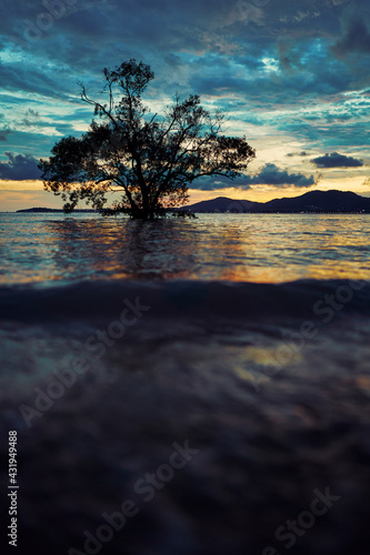 Beautiful sunset landscape with colorful sky and tree silhouette in water near the shore. © luengo_ua