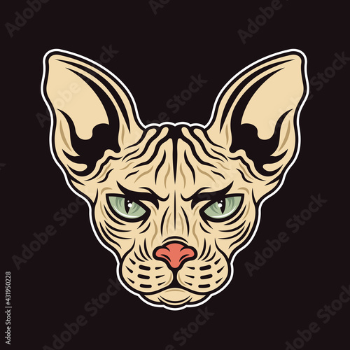 Sphynx cat head vector colored illustration in cartoon style on dark background