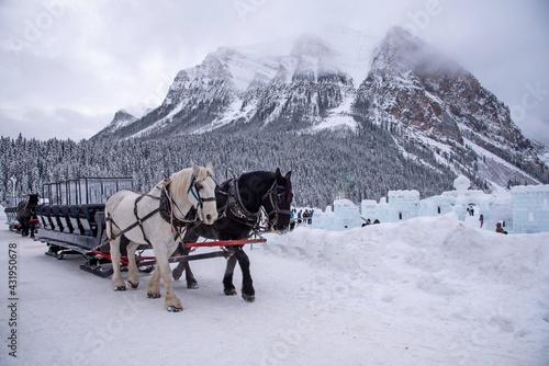 Quadro su tela A Christmassy horse sled in lake Louise