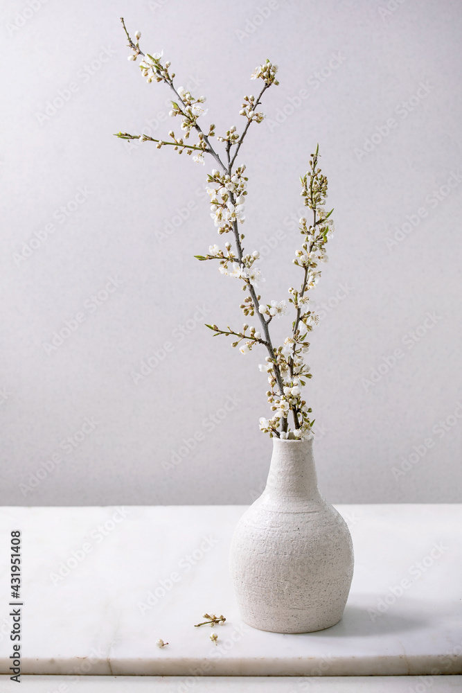Blossom cherry branches in white porcelain vase