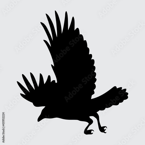 Crow Silhouette, Crow Isolated On White Background © NRkz