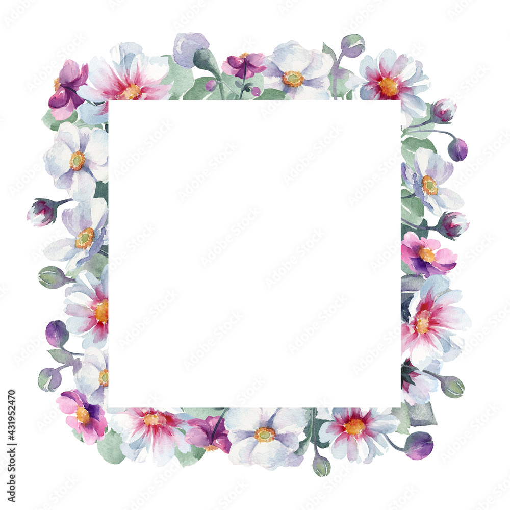Watercolor hand drawn square frame on white background isolated. Many flowers: cosmos purple anemones anemones sylvestris. Buds petals sprouts leaves. Nice frame for your rustic, boho, wedding design.
