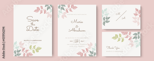 Set of card with flower rose, leaves. Wedding ornament concept. Floral poster, invite. Vector decorative greeting card or invitation design background
