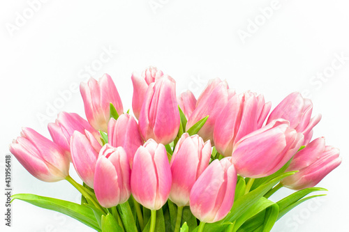 Fototapeta Naklejka Na Ścianę i Meble -  Bouquet of pink tulips on a white background. The tops of flower buds. Side view.  Valentine's Day. Easter. Mother's day. Spring flowers