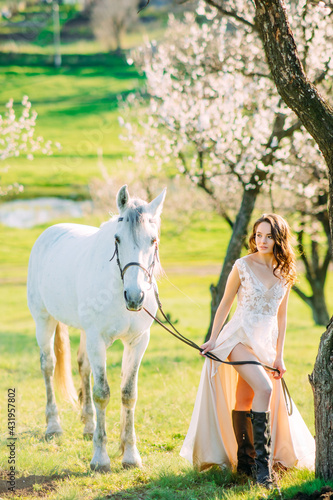 Bride in white dress walks near horse and leads it by reins in spring blooming garden. © Stanislav