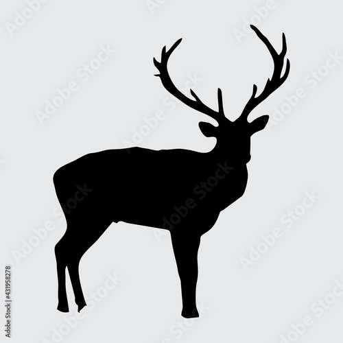 Deer Silhouette, Deer Isolated On White Background © NRkz