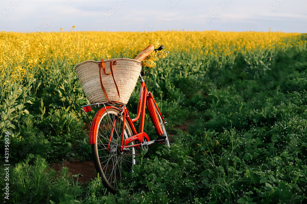 Vintage bicycle with a basket at the yellow flower field.