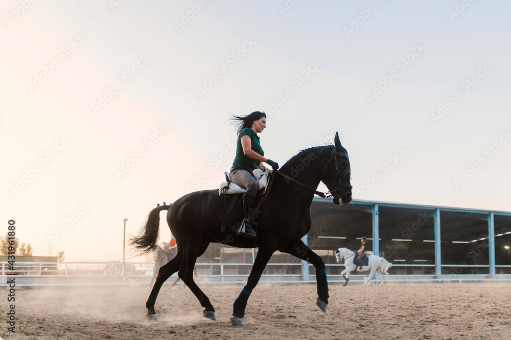 Mid adult woman riding horse by clear sky in farm during weekend