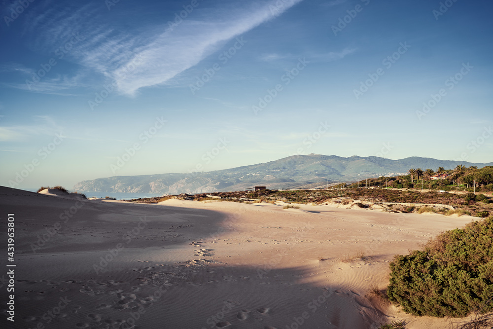 Sintra-Cascais natural park. Wild sandy landscape, with part of Cresmina Dunes. Beautiful scenery in Portugal.