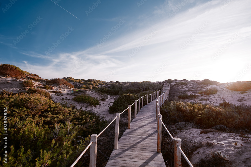 Wooden pedestrian walkway through Sintra-Cascais natural park. Wild sandy landscape, with part of Cresmina Dunes. Beautiful scenery in Portugal. Wooden pedestrian walkway through Sintra-Cascais natural park. Wild sandy landscape, with part of Cresmina Dunes. Beautiful scenery in Portugal.