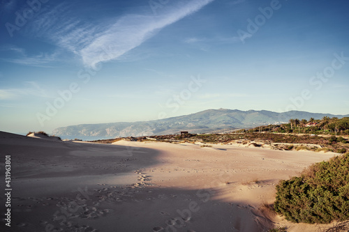 Sintra-Cascais natural park. Wild sandy landscape, with part of Cresmina Dunes. Beautiful scenery in Portugal.