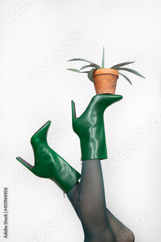 Mature woman wearing green colored stiletto balancing cactus plant against white background photo