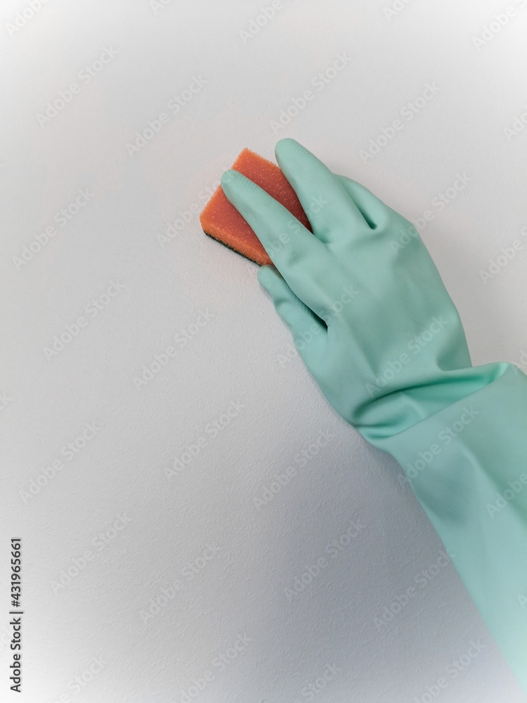 Cleaning and disinfection. A woman in a blue glove holds an orange sponge and washes a light wall. Cleaning and disinfection. A woman in a blue glove holds an orange sponge and washes a light wall.