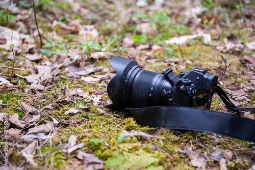 Close-up of a professional camera in the forest on green mosses photo