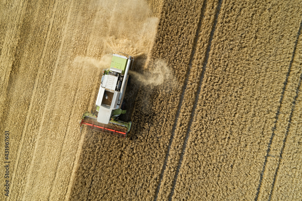Drone view of combine harvester collecting grain in summer Drone view of combine harvester collecting grain in summer