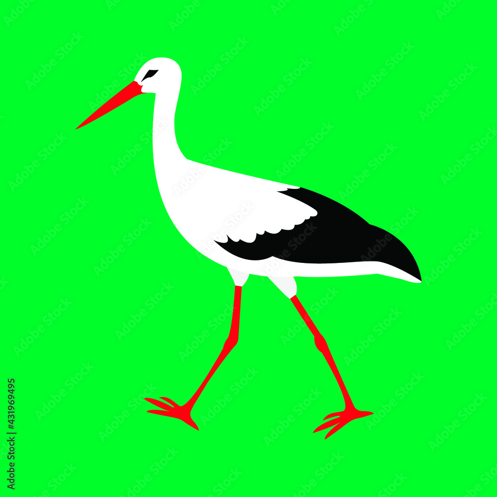 Fototapeta premium Bird stork white vector isolated. The stork (Ciconia ciconia) is coming. Stock illustration