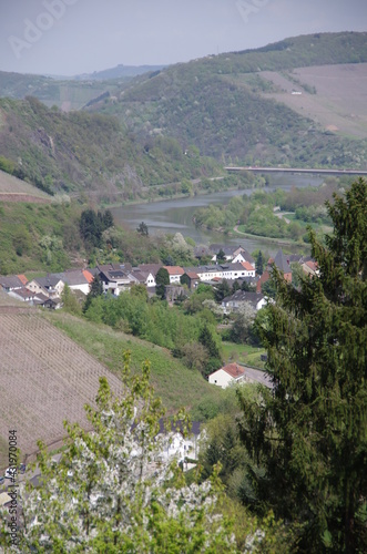 Scenery