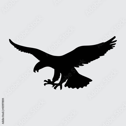 Eagle Silhouette, Eagle Isolated On White Background