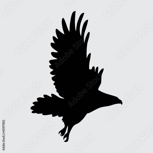 Eagle Silhouette  Eagle Isolated On White Background