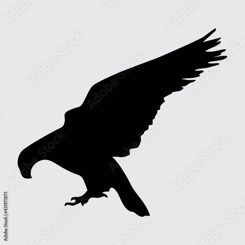 Eagle Silhouette, Eagle Isolated On White Background