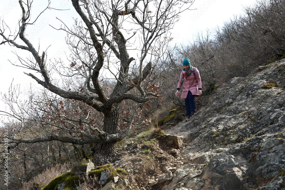 Naklejka premium Woman hiking on trail from Bear mountain