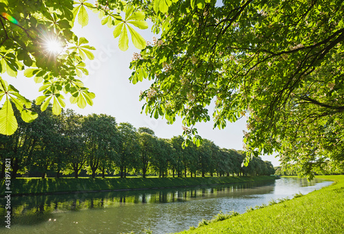 Germany, North Rhine-Westphalia, Cologne, Sun shining over treelined Decksteiner Weiher pond in spring photo