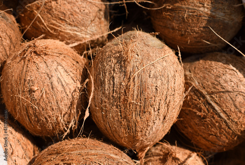 coconuts displayed for sale in market