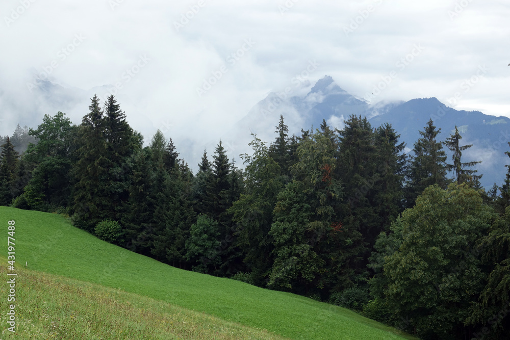 Landschaft bei Übersaxen in Vorarlberg