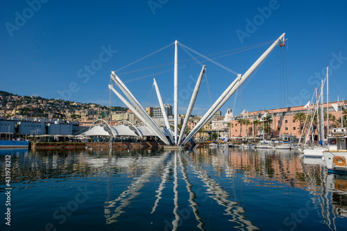 Italy, Liguria, Genoa, Crane in Marina di Porto Antico photo