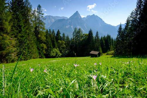 Green alpine meadow with lone hut in background photo