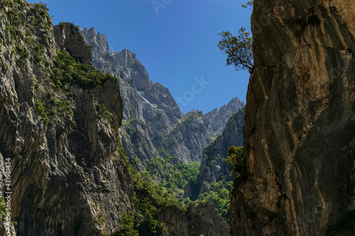 Inside a deep valley with spectacular vertical rocks. Photograph taken in the Picos de Europa, Asturias, Spain. 