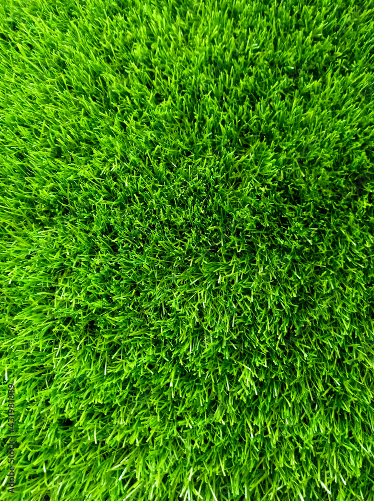 Fototapeta premium photography green abstract background. artificial turf. grass.
